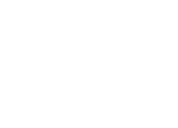 Logo max-steps